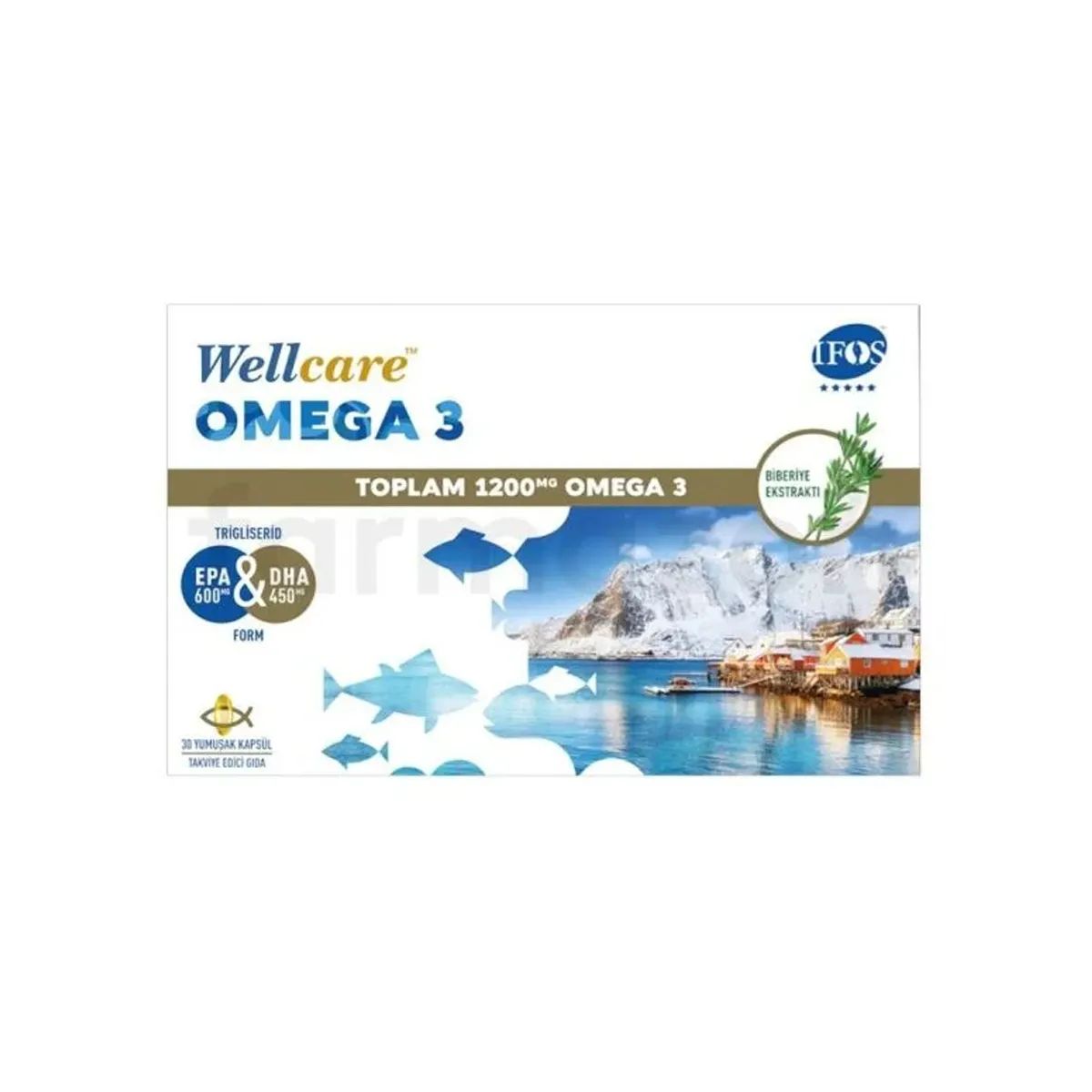 Wellcare Omega 3 Balık Yağı 1200 mg 30 Kapsül